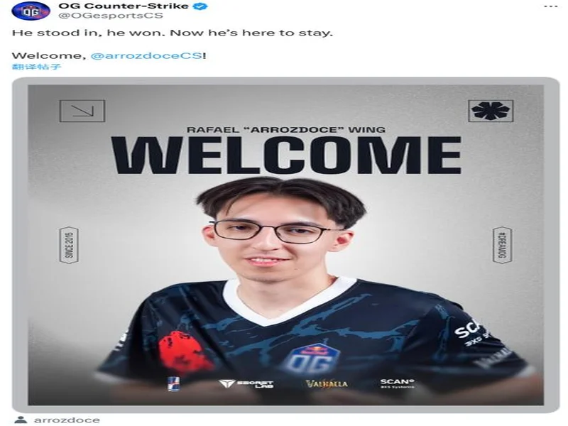官宣：OG战队下放arrozdoce